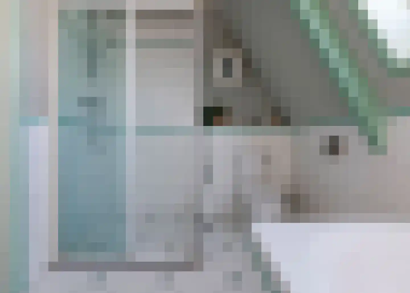 De Fuik 11 Warmenhuizen thumbnail 22