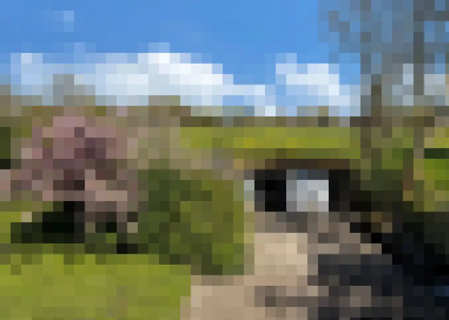 De Fuik 11 Warmenhuizen thumbnail 36