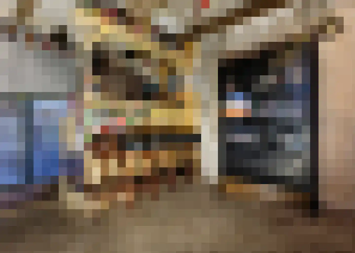 De Fuik 11 Warmenhuizen thumbnail 45