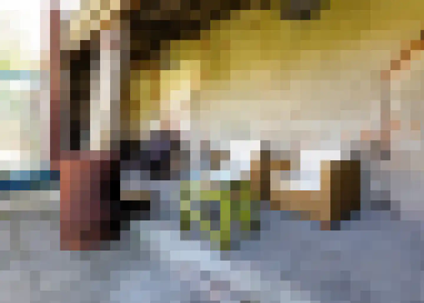 De Fuik 11 Warmenhuizen thumbnail 51