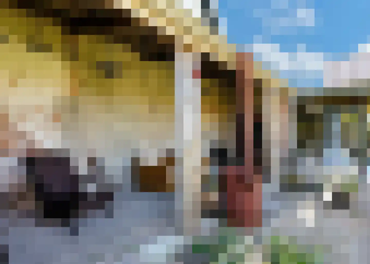 De Fuik 11 Warmenhuizen thumbnail 52