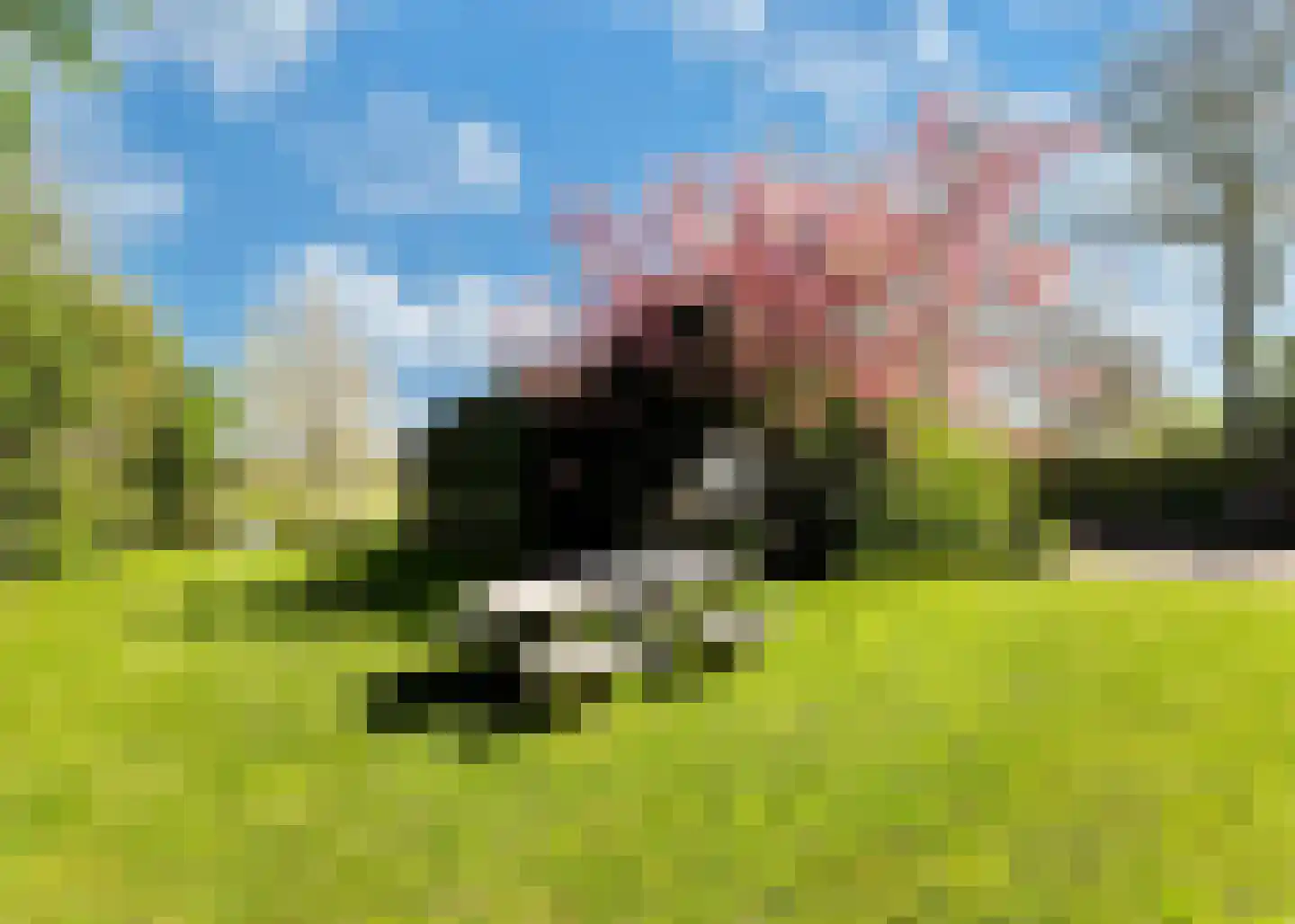 De Fuik 11 Warmenhuizen thumbnail 54