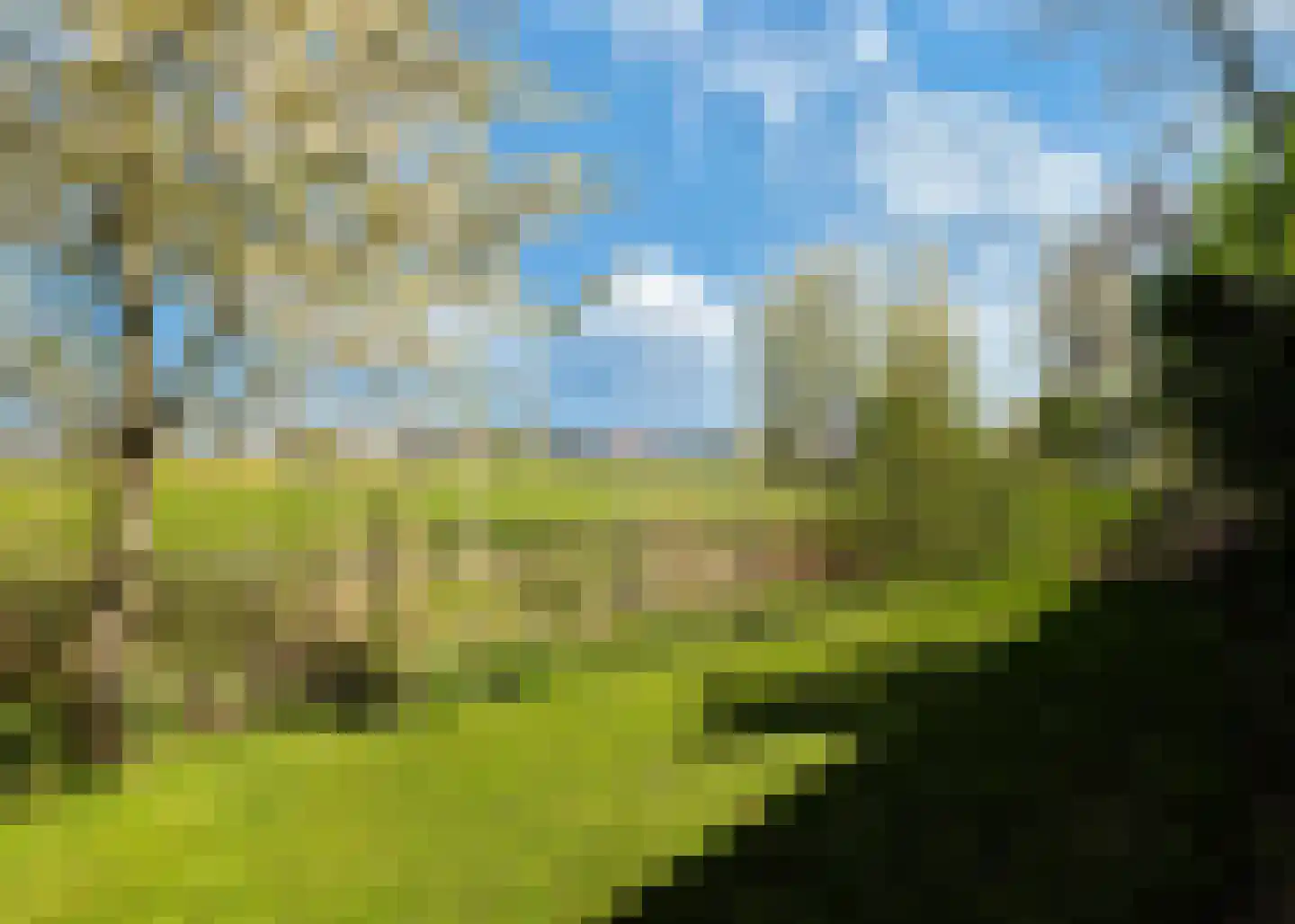 De Fuik 11 Warmenhuizen thumbnail 55