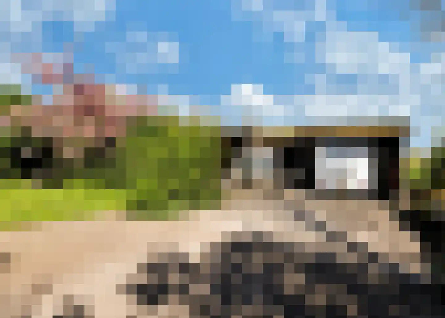 De Fuik 11 Warmenhuizen thumbnail 56
