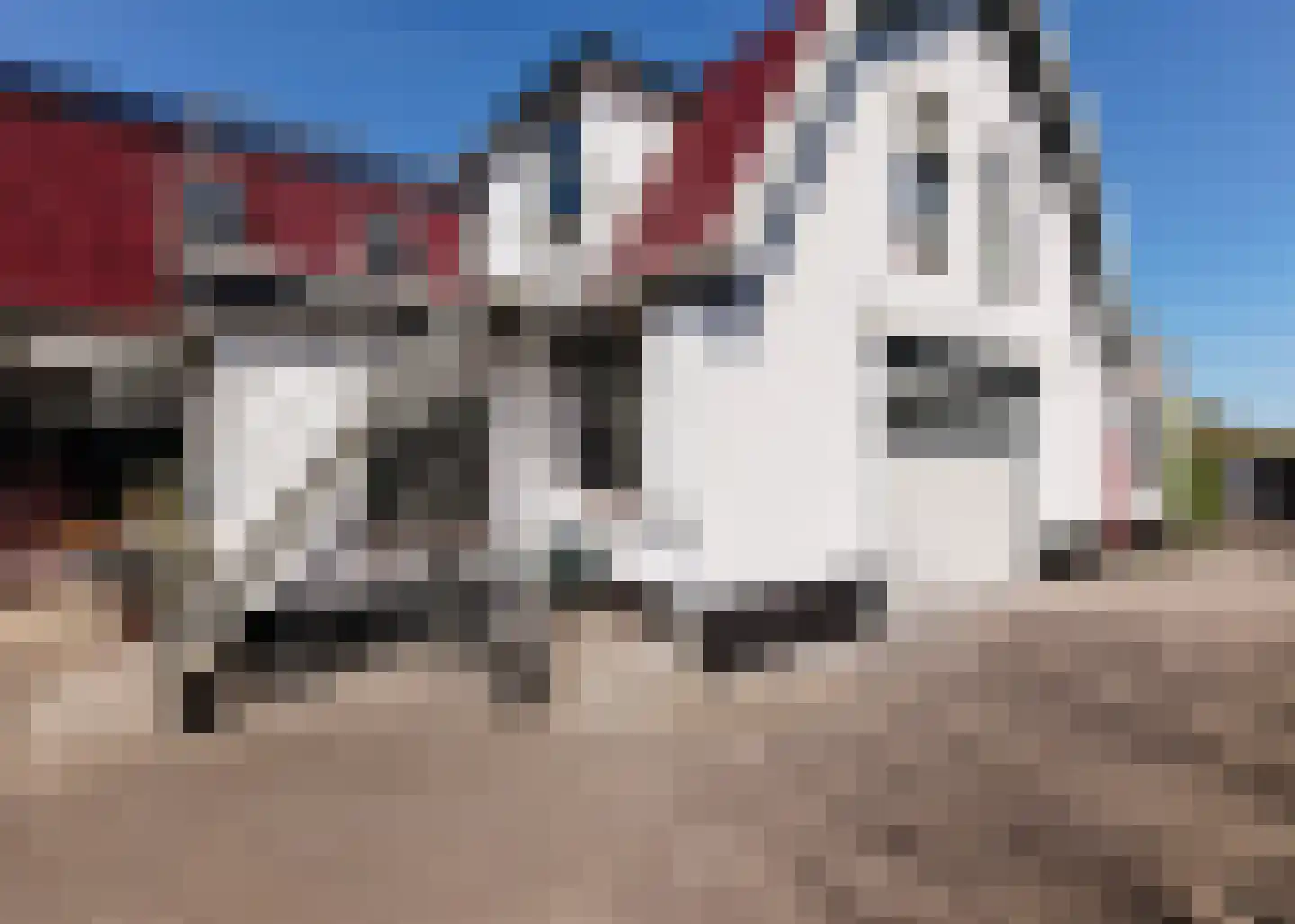 De Fuik 11 Warmenhuizen thumbnail 59