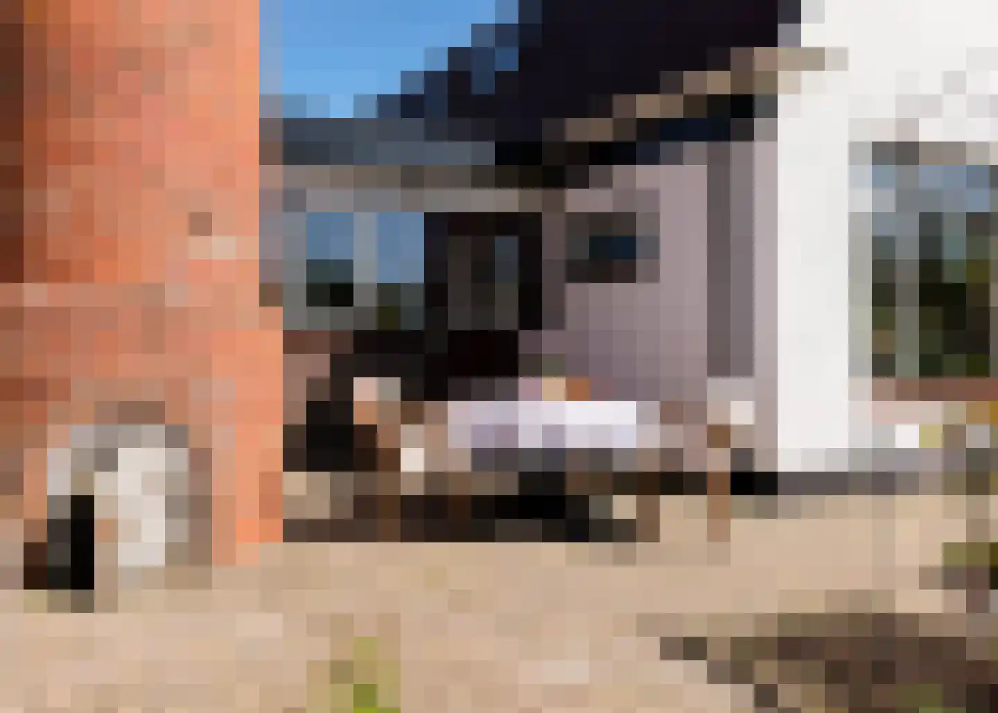 De Fuik 11 Warmenhuizen thumbnail 70