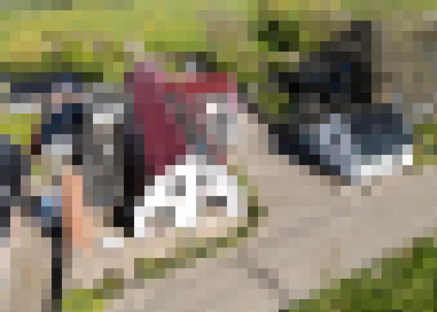 De Fuik 11 Warmenhuizen thumbnail 72