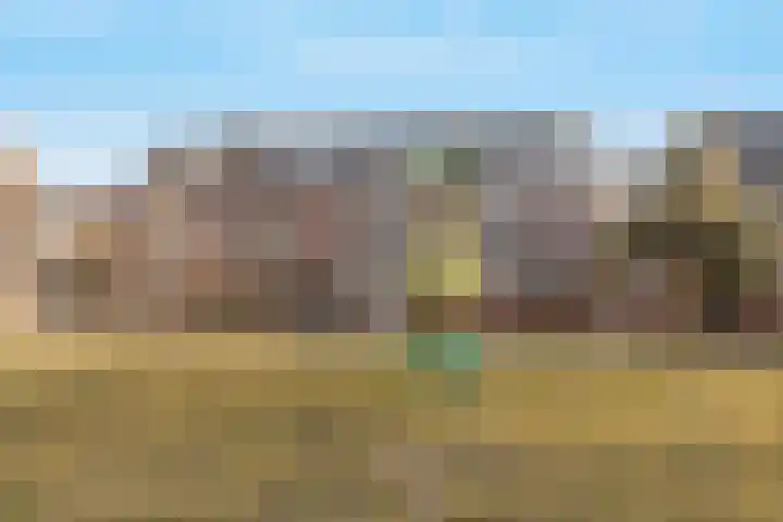 De Fuik 12 Houten thumbnail 33