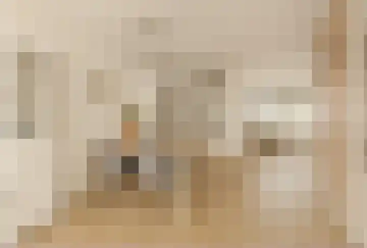 De Fuik 12 Houten thumbnail 5