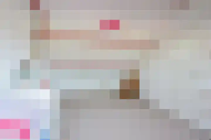 De Fuik 17 Avenhorn thumbnail 18