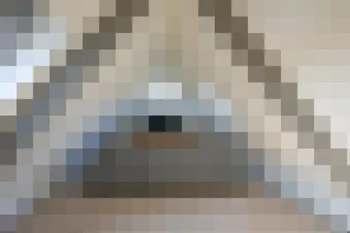 De Fuik 17 Avenhorn thumbnail 20