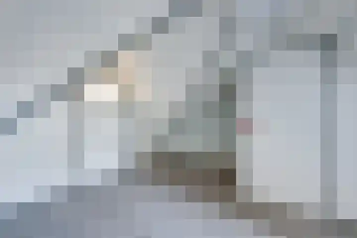 De Fuik 17 Avenhorn thumbnail 21