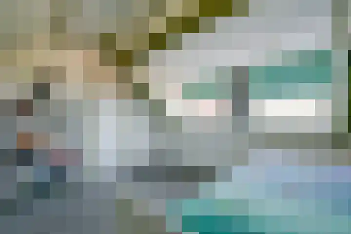 De Fuik 17 Avenhorn thumbnail 24