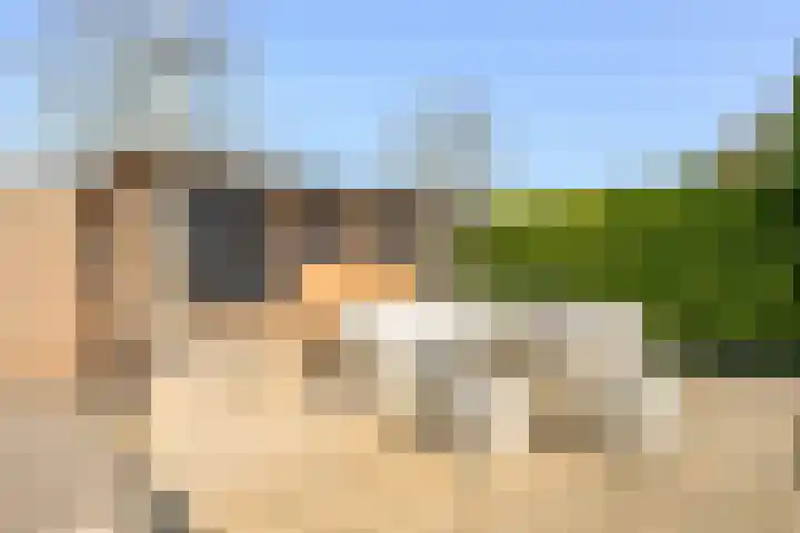 De Fuik 17 Avenhorn thumbnail 27