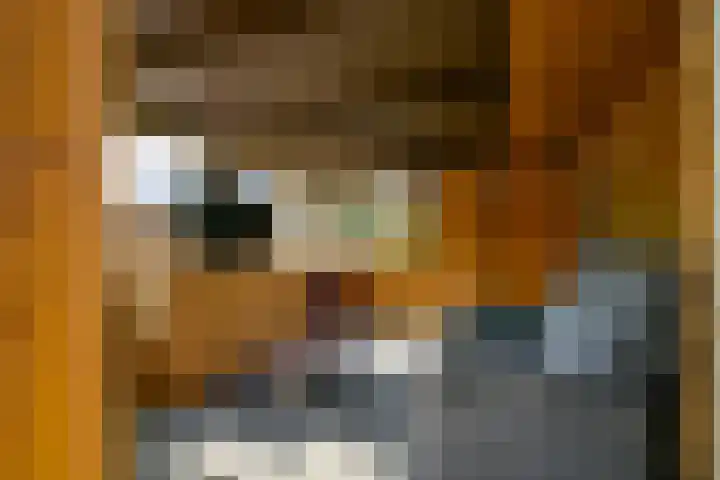 De Fuik 17 Avenhorn thumbnail 28