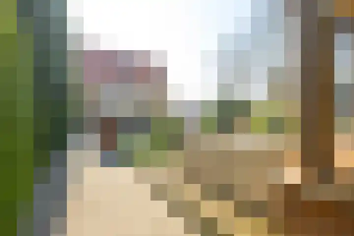 De Fuik 17 Avenhorn thumbnail 29