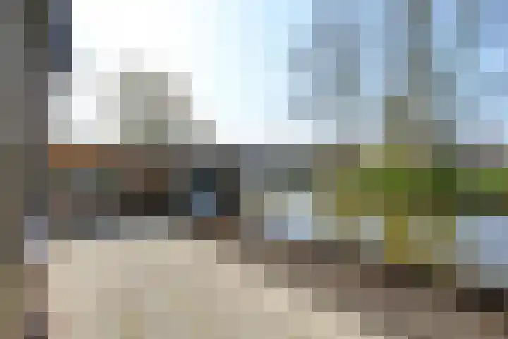 De Fuik 17 Avenhorn thumbnail 32