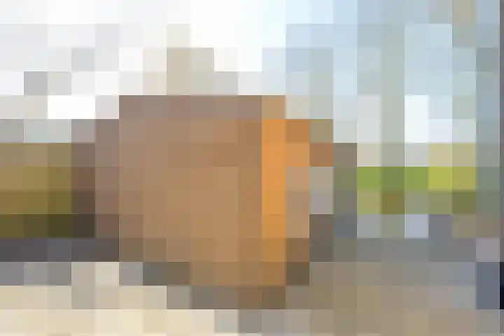 De Fuik 17 Avenhorn thumbnail 33
