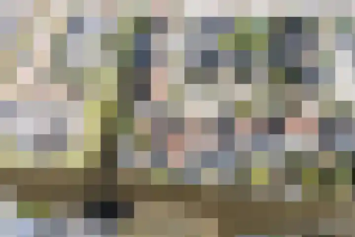 De Fuik 17 Avenhorn thumbnail 40