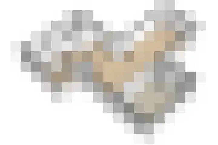 De Fuik 17 Avenhorn thumbnail 42