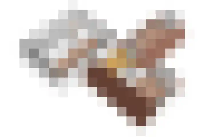 De Fuik 17 Avenhorn thumbnail 44
