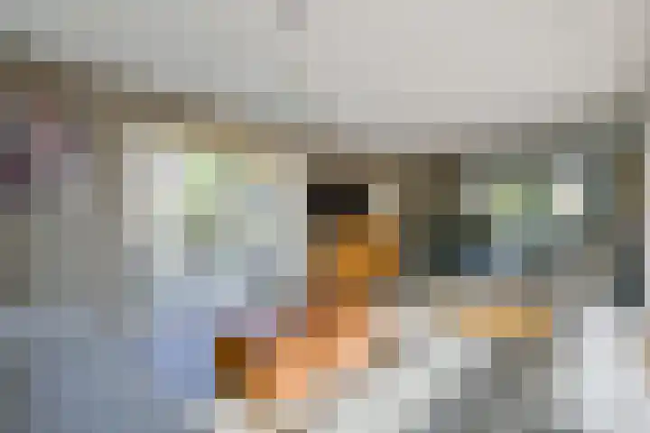De Fuik 17 Avenhorn thumbnail 5