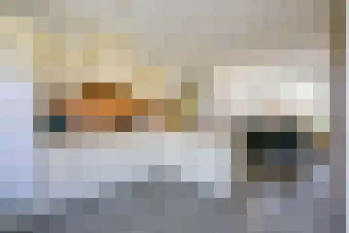 De Fuik 17 Avenhorn thumbnail 8
