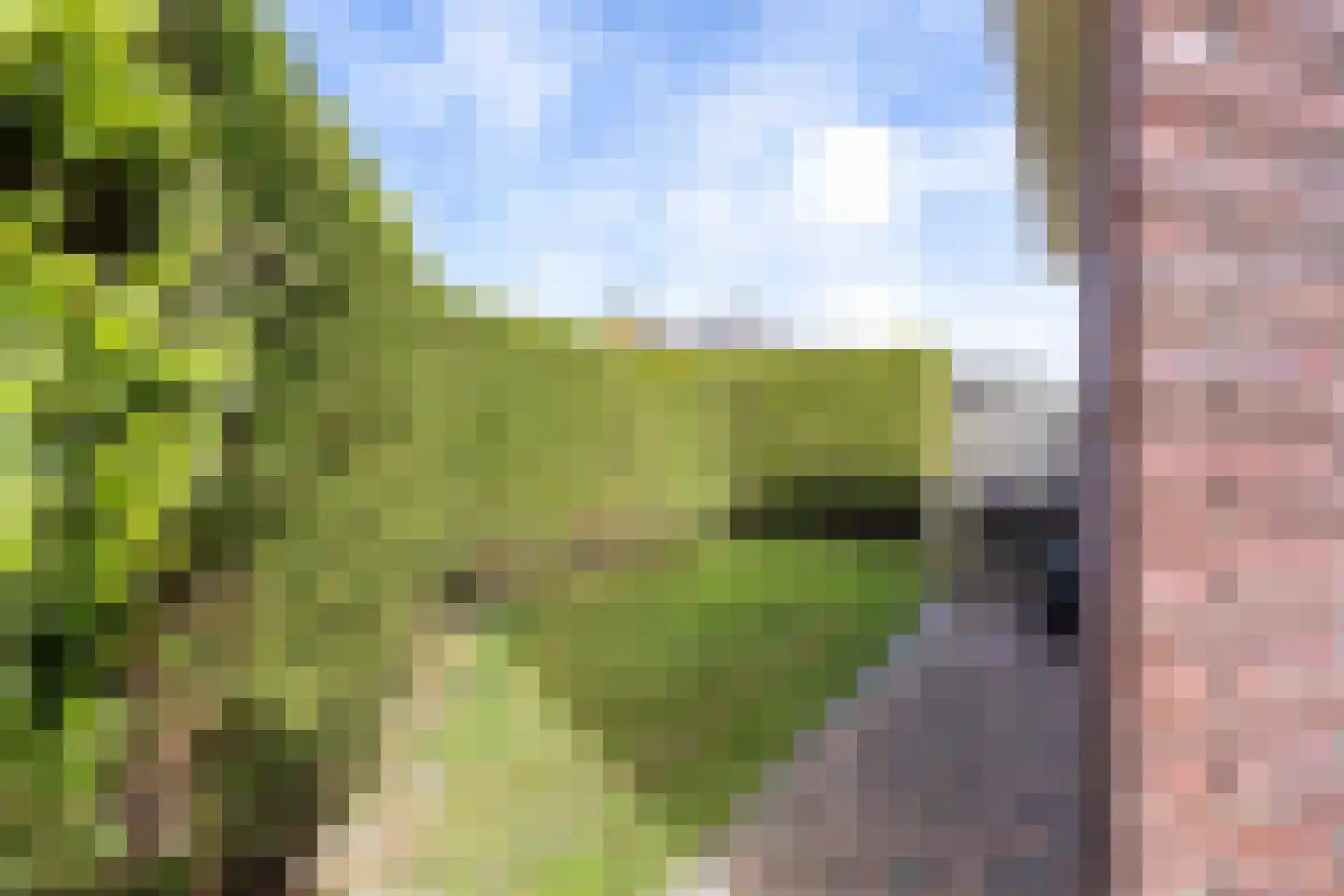 de Fuik 8 Ulrum thumbnail 26