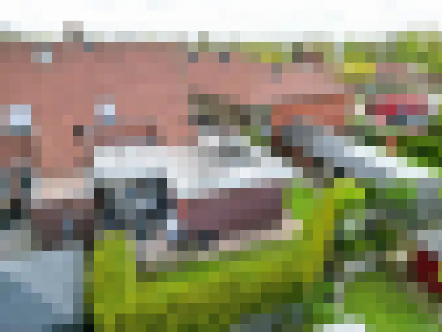 de Fuik 8 Ulrum thumbnail 28