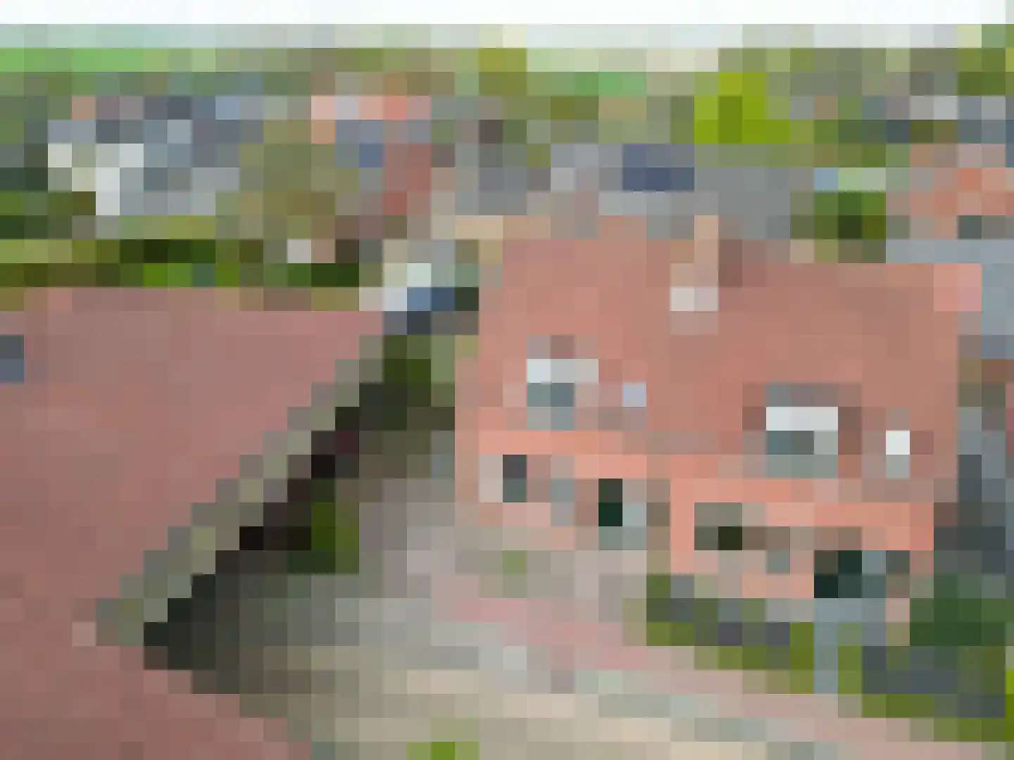 de Fuik 8 Ulrum thumbnail 29