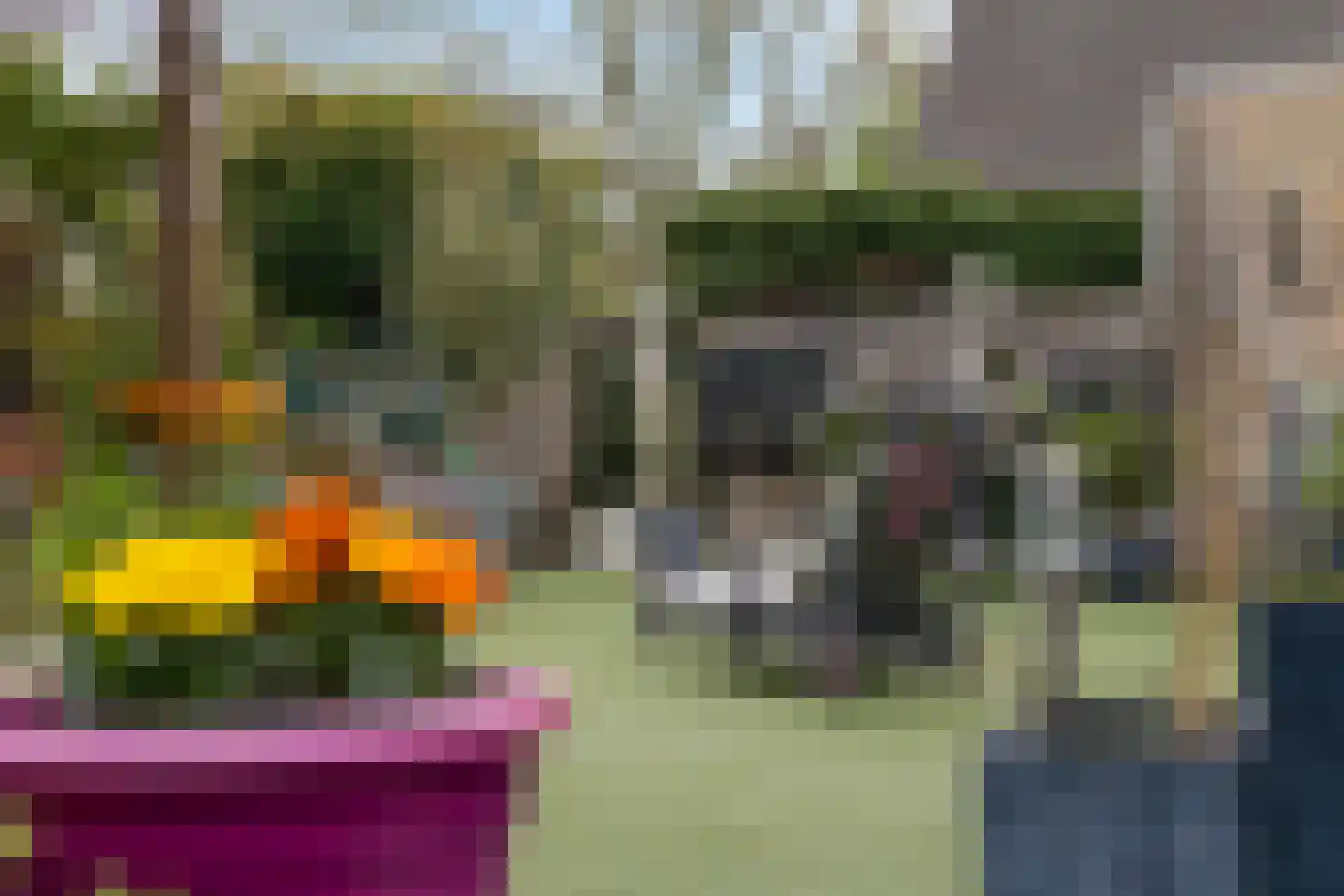De Fuis 25 Roosendaal thumbnail 44