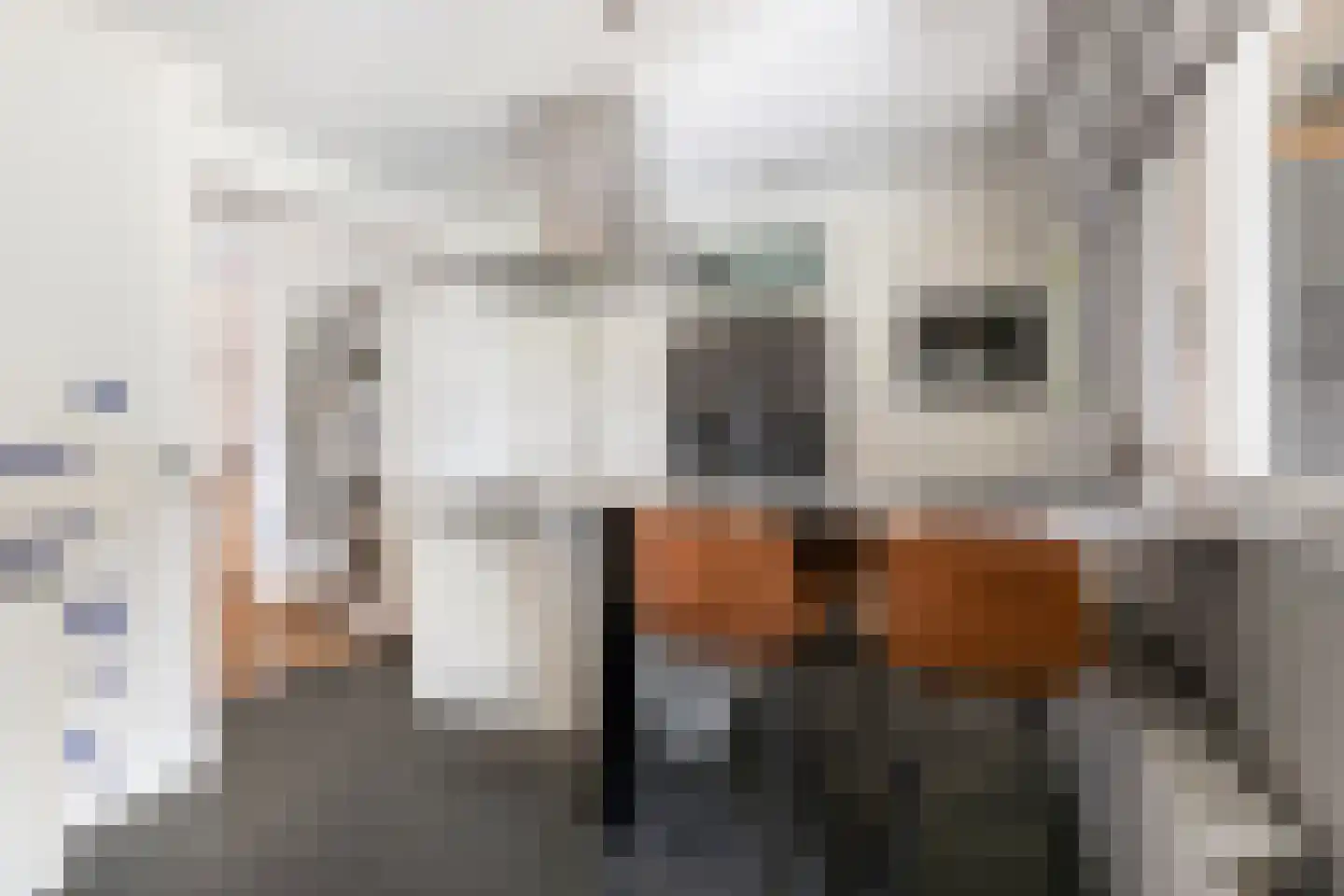 De Fuis 43 Roosendaal thumbnail 4