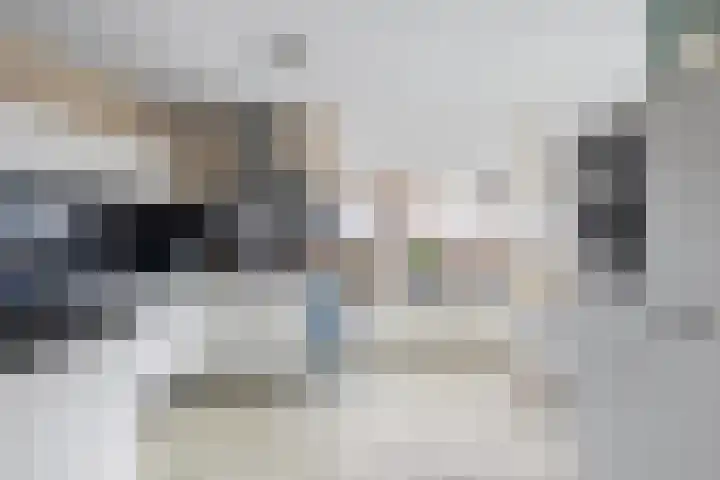 De Fûke 1 Grou thumbnail 10