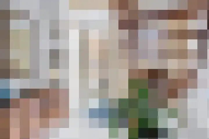 De Fûke 1 Grou thumbnail 15