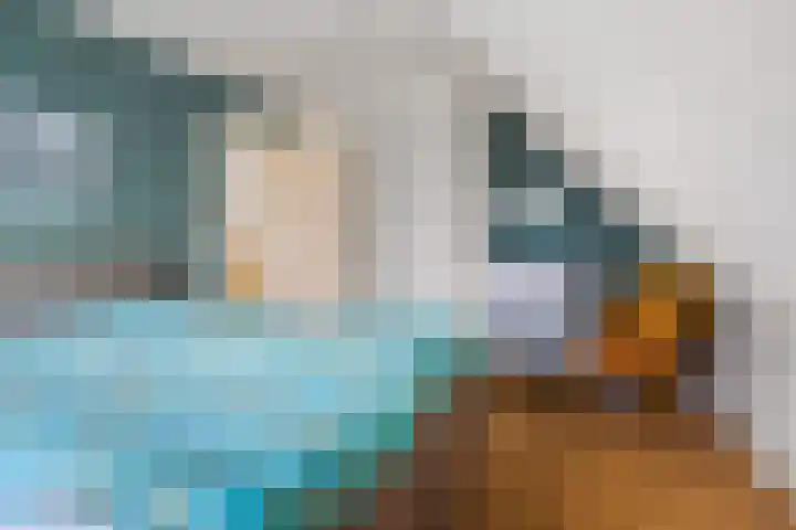 De Fûke 1 Grou thumbnail 18