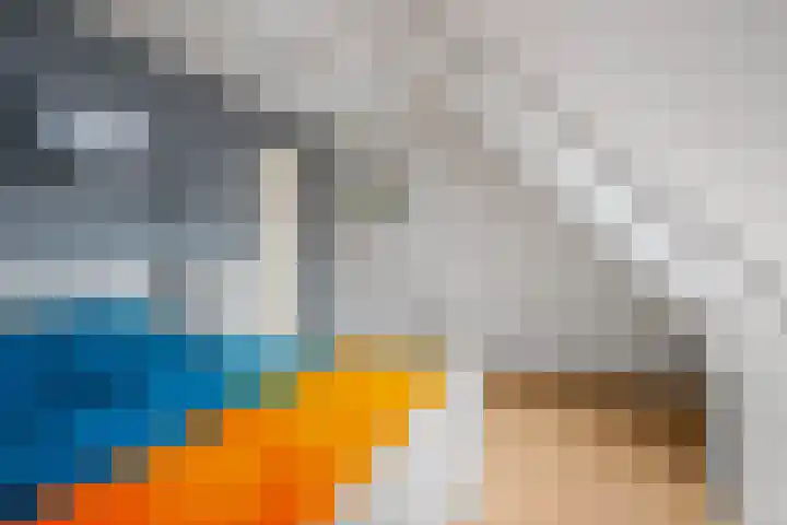 De Fûke 1 Grou thumbnail 20