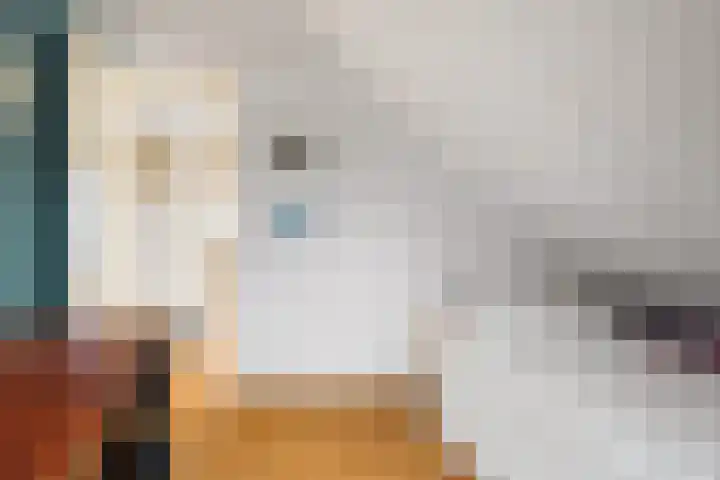 De Fûke 1 Grou thumbnail 24
