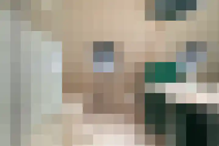 De Fûke 1 Grou thumbnail 26