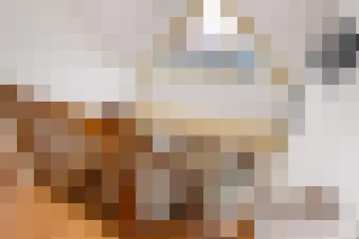 De Fûke 1 Grou thumbnail 29