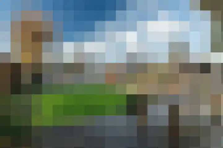 De Fûke 1 Grou thumbnail 31