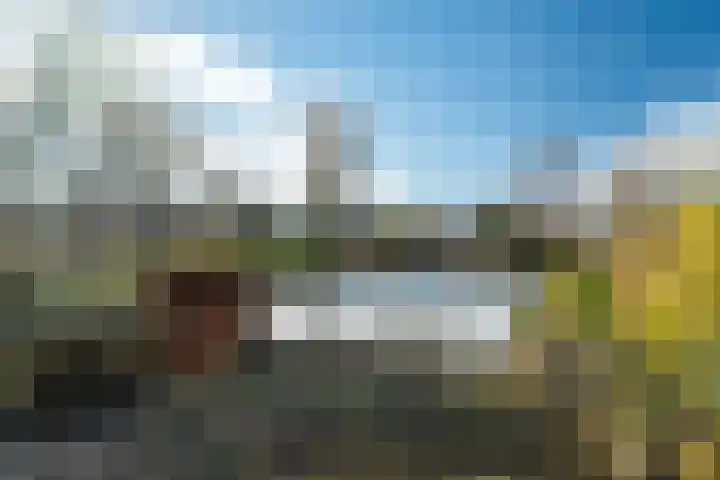 De Fûke 1 Grou thumbnail 33