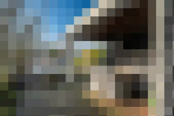De Fûke 1 Grou thumbnail 34