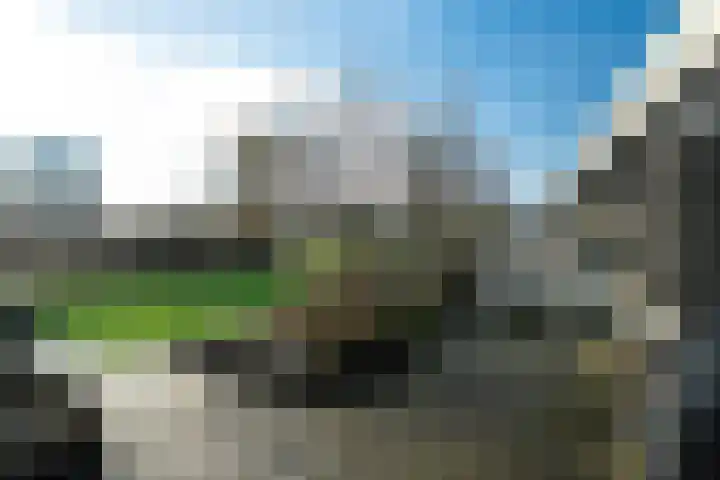 De Fûke 1 Grou thumbnail 35