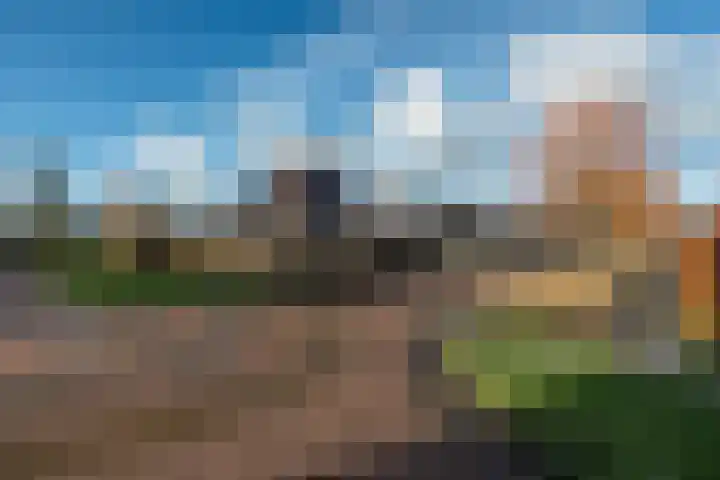 De Fûke 1 Grou thumbnail 39