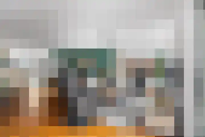 De Fûke 1 Grou thumbnail 8