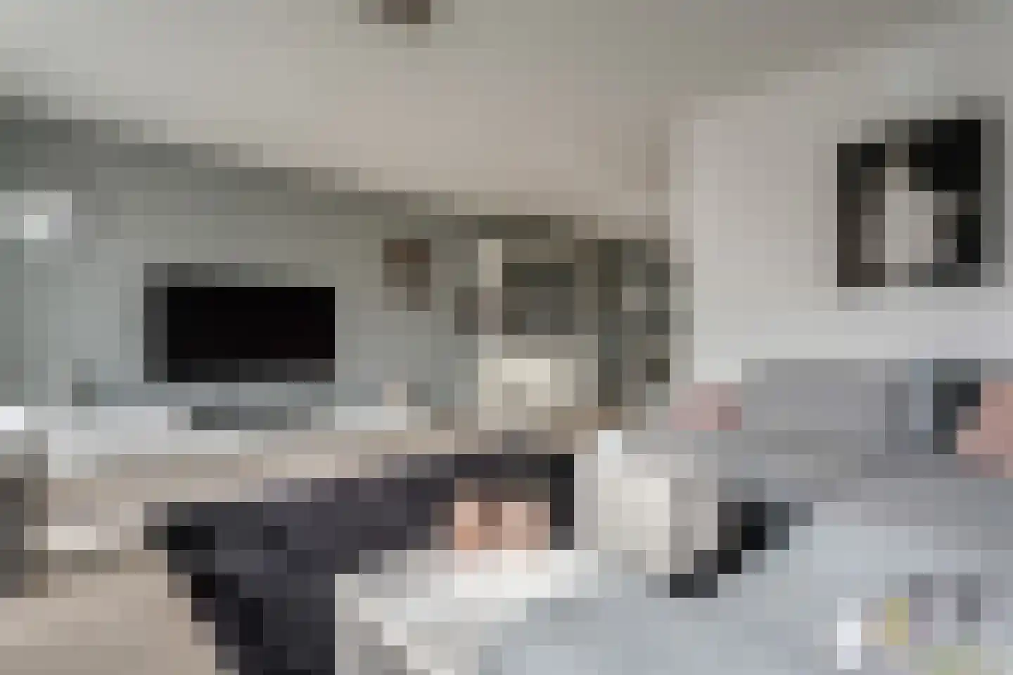 De Fûke 19 Workum thumbnail 11