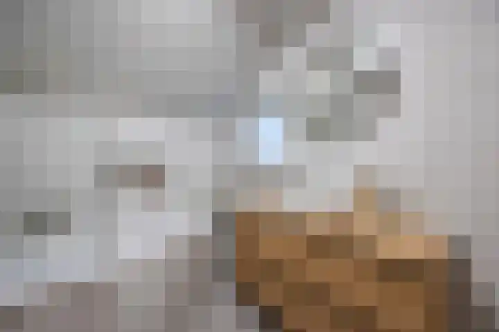 De Fûke 19 Workum thumbnail 14