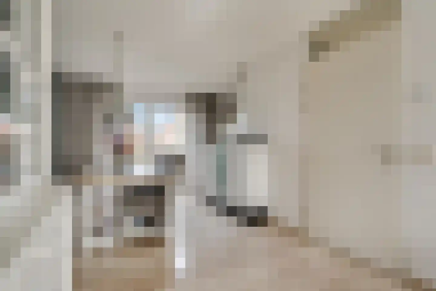 De Fûke 19 Workum thumbnail 15