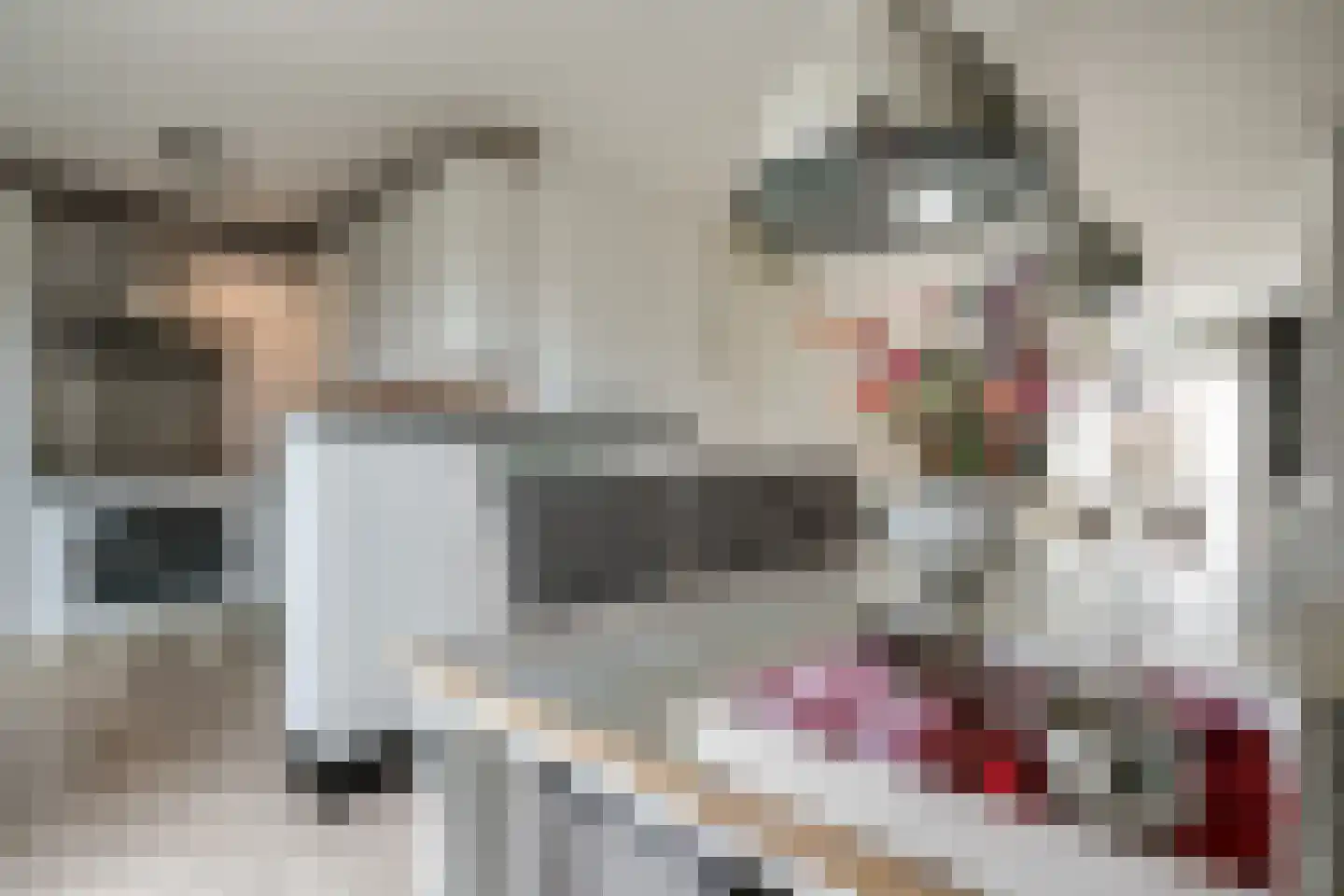 De Fûke 19 Workum thumbnail 17
