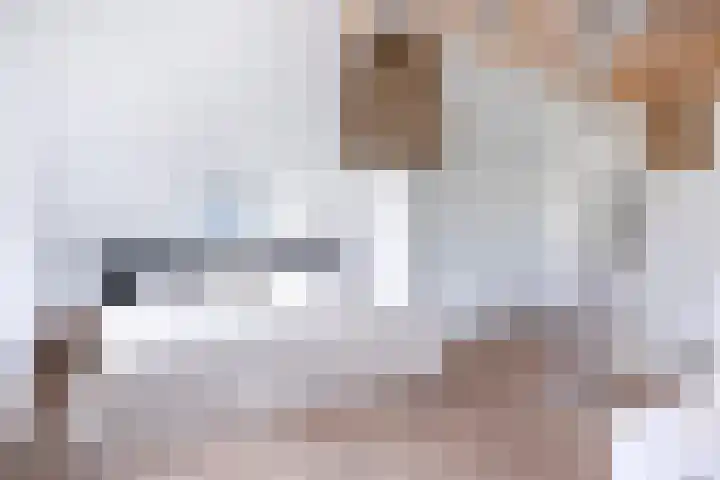 De Fûke 19 Workum thumbnail 19